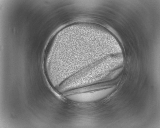 X0000068721437200605192242