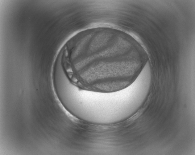 X0000068721438200605192242