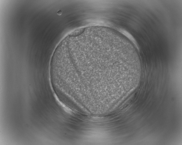 X0000068721439200605192242