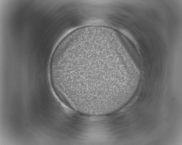 X0000068721440200605192242