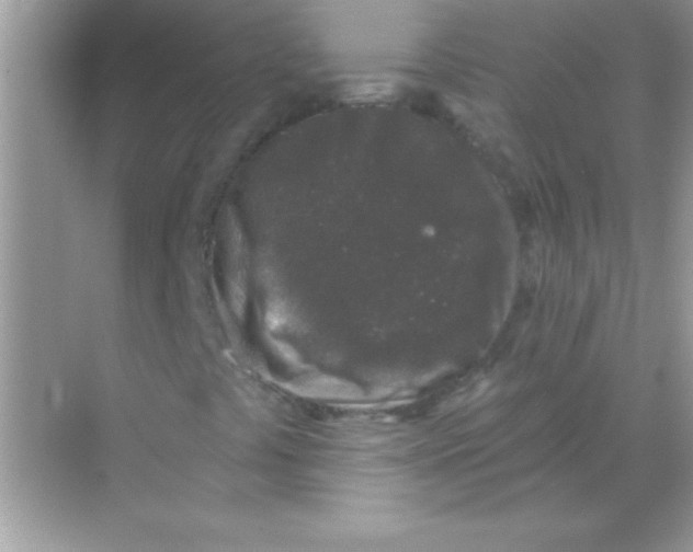 X0000068721441200605192241