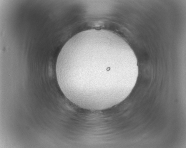 X0000068721442200605192241