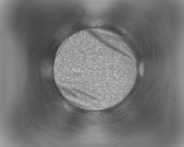 X0000068721444200605192241