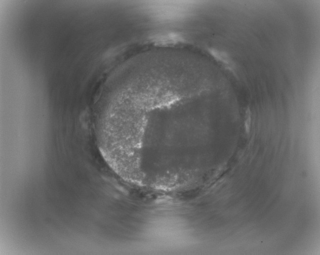 X0000068721445200605192241