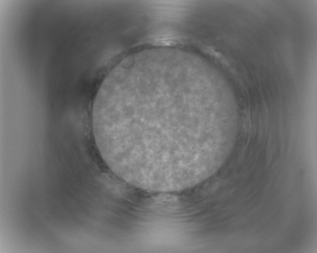 X0000068721446200605192241