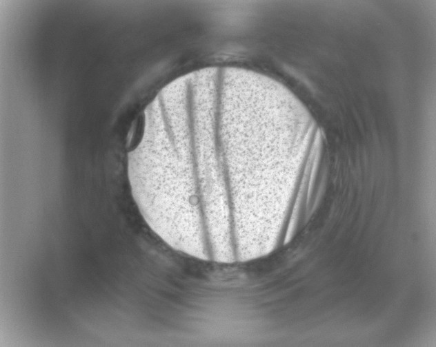 X0000068721447200605192241