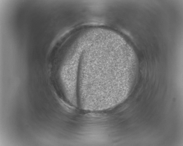 X0000068721448200605192241