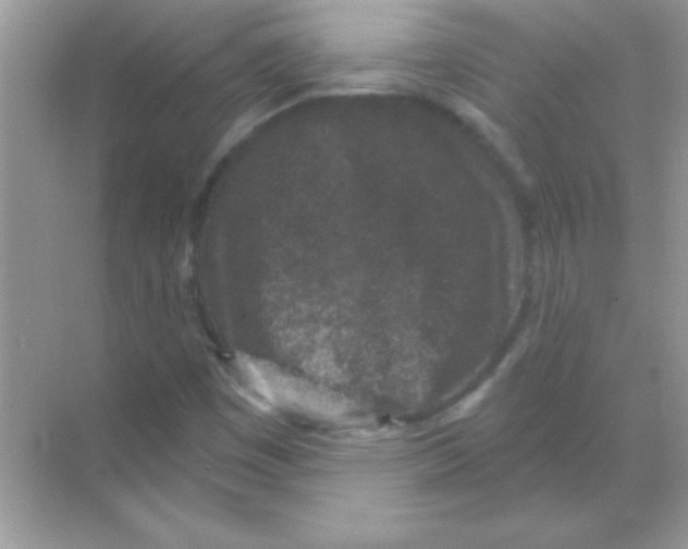 X0000068721449200605192241