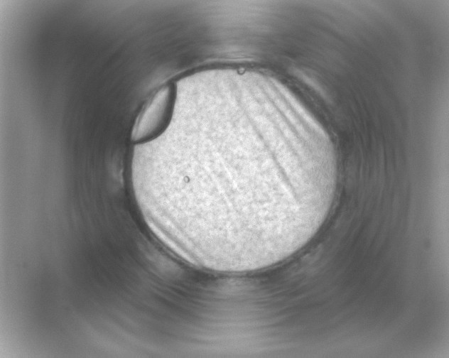 X0000068721451200605192241