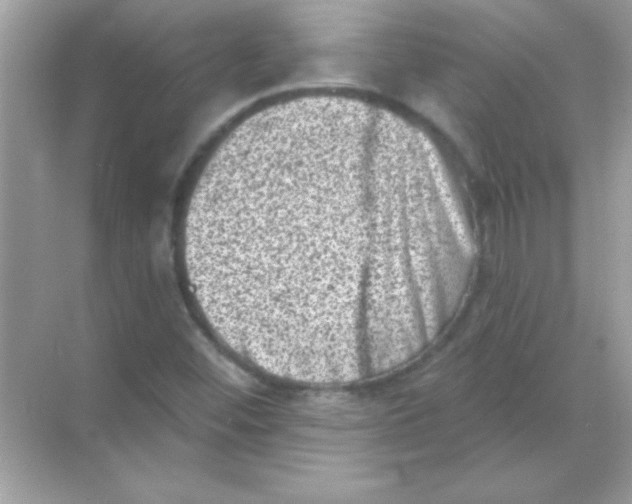 X0000068721452200605192241