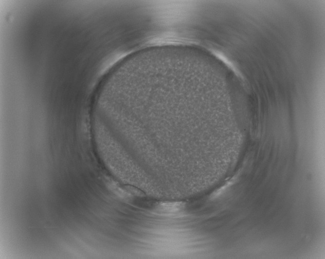 X0000068721453200605192241