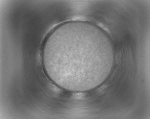 X0000068721454200605192241