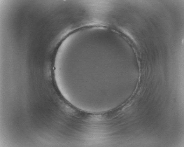 X0000068721455200605192241