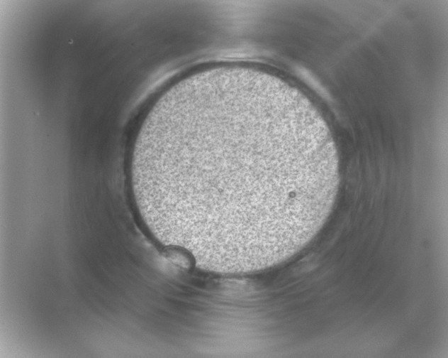 X0000068721456200605192241