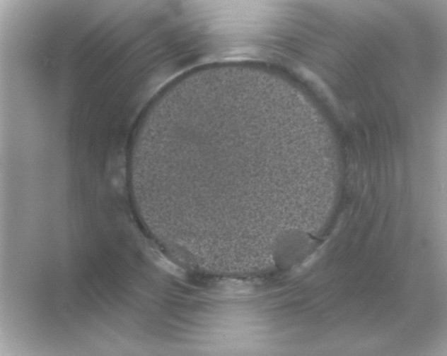 X0000068721457200605192241