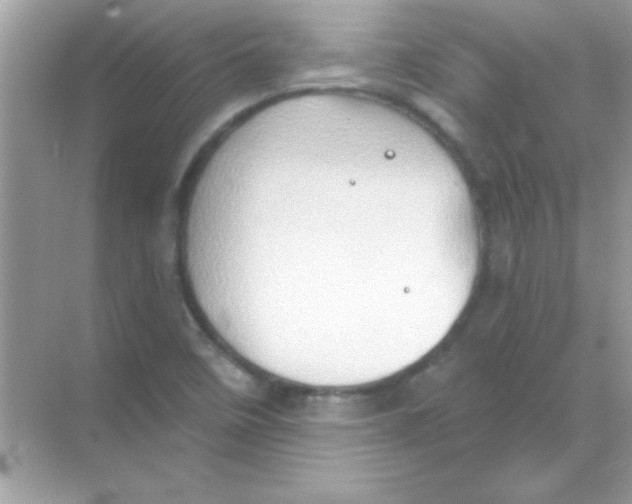 X0000068721458200605192241