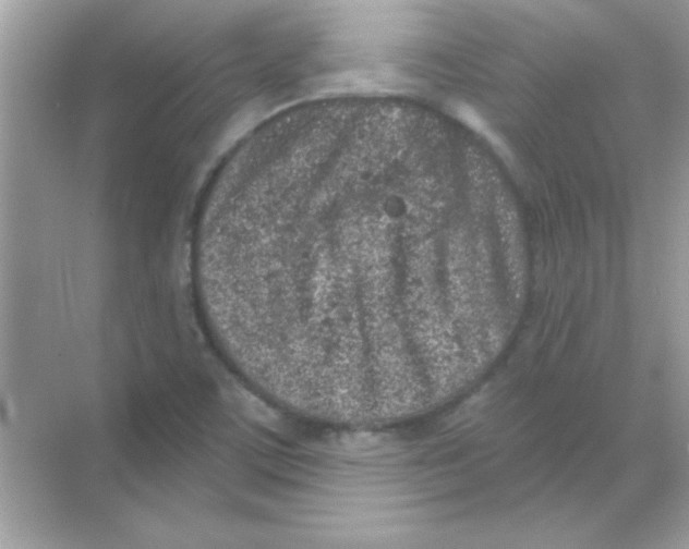 X0000068721459200605192241