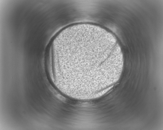 X0000068721460200605192241