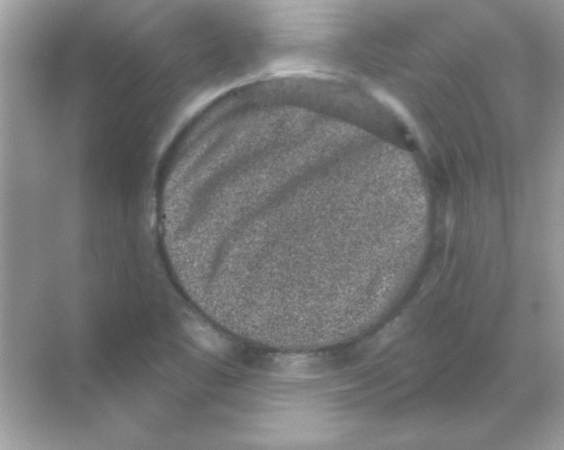 X0000068721461200605192241