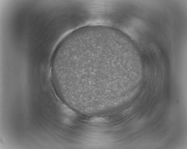 X0000068721462200605192241