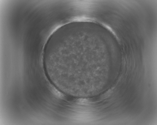 X0000068721463200605192241