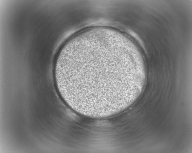 X0000068721464200605192241