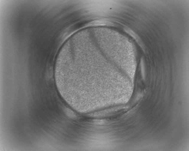 X0000068721465200605192241