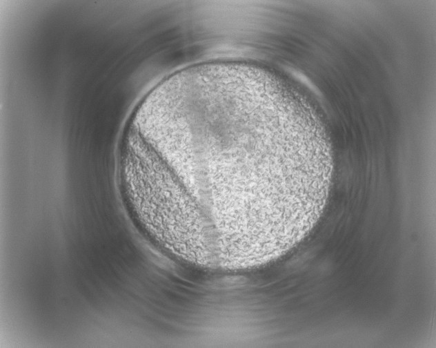 X0000068721467200605192241