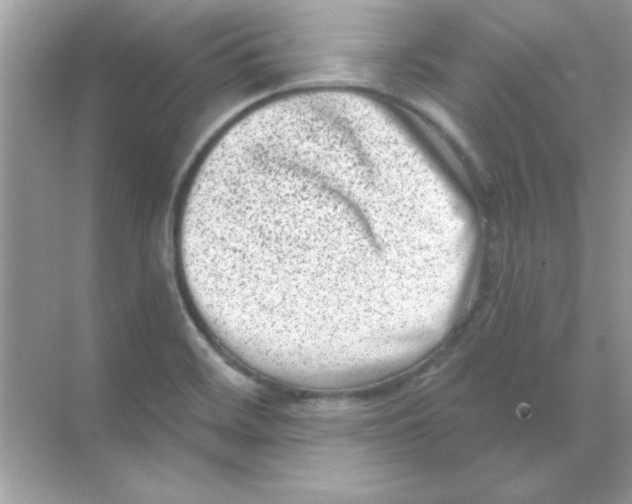 X0000068721468200605192240