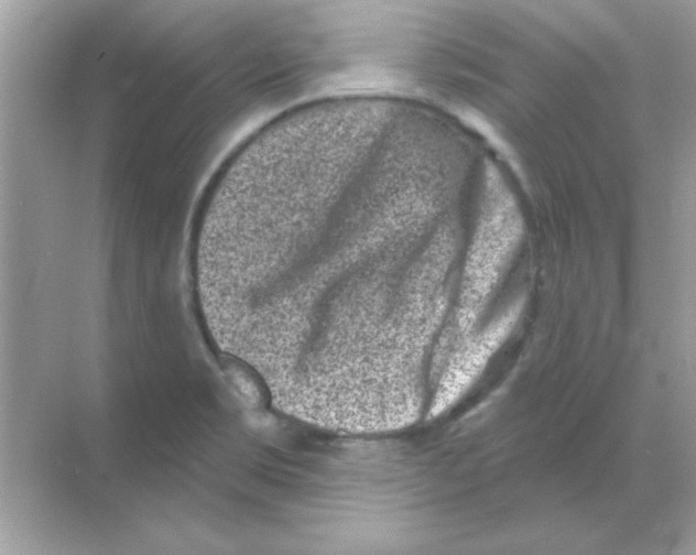 X0000068721469200605192240