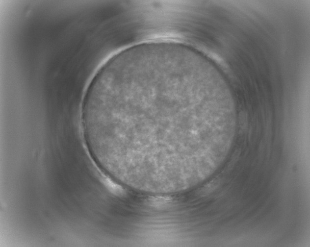 X0000068721470200605192240