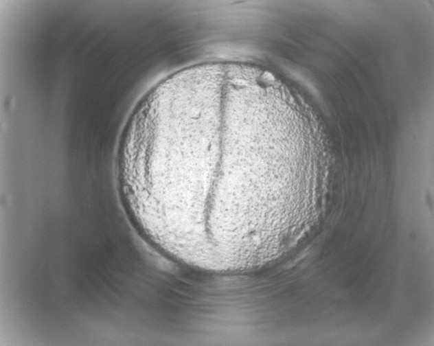 X0000068721471200605192240