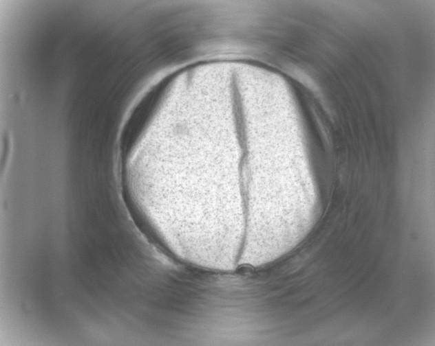 X0000068721472200605192240