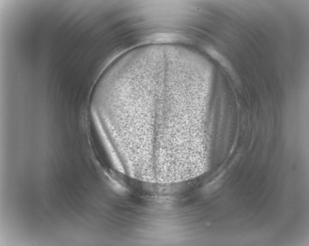 X0000068721473200605192240