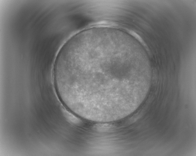 X0000068721474200605192240