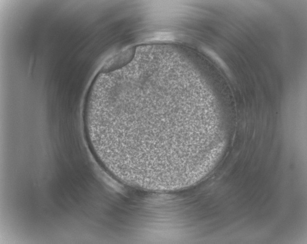 X0000068721475200605192240