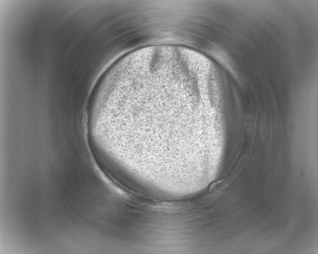 X0000068721476200605192240