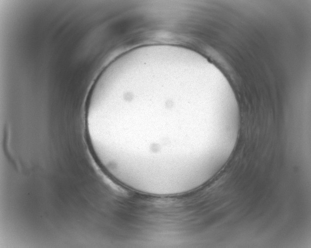 X0000068721479200605192240