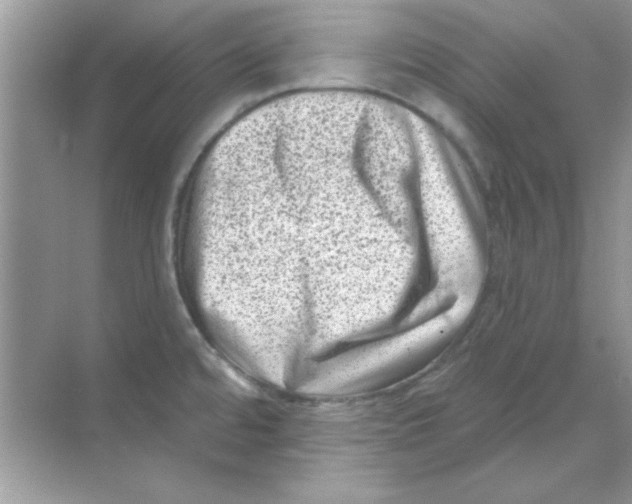 X0000068721480200605192240