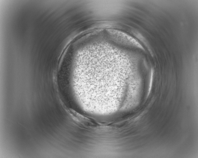 X0000068721481200605192240