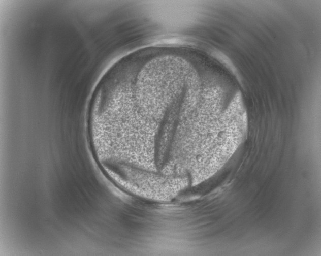 X0000068721483200605192240