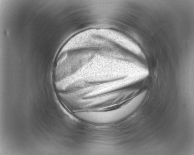 X0000068721484200605192240