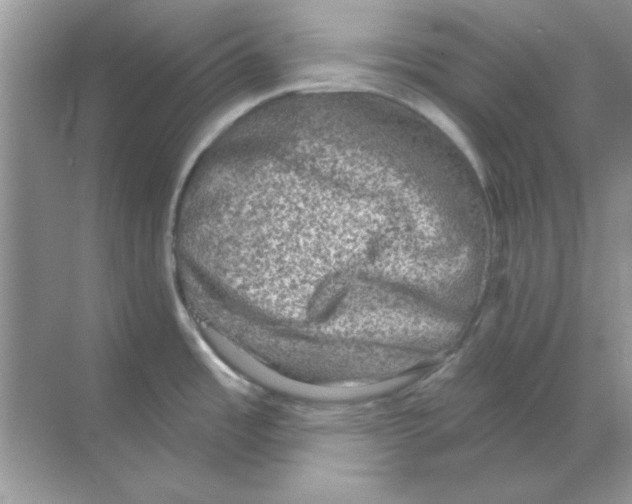 X0000068721485200605192240