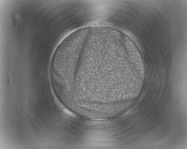 X0000068721486200605192240