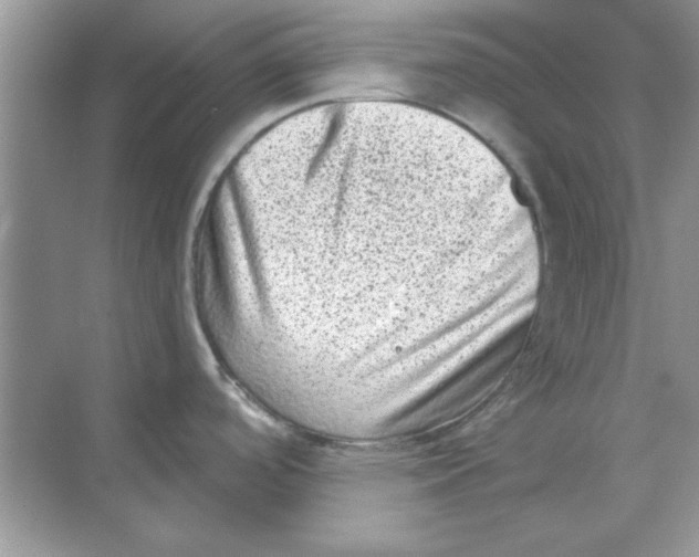 X0000068721488200605192240