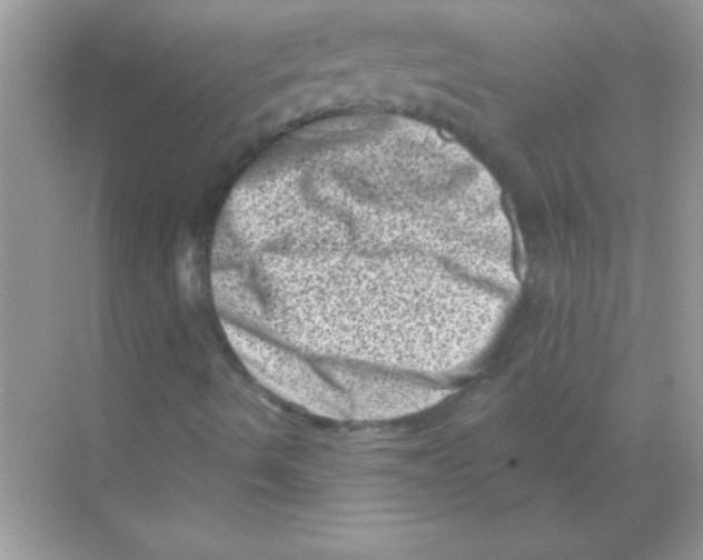 X0000068721490200605192239