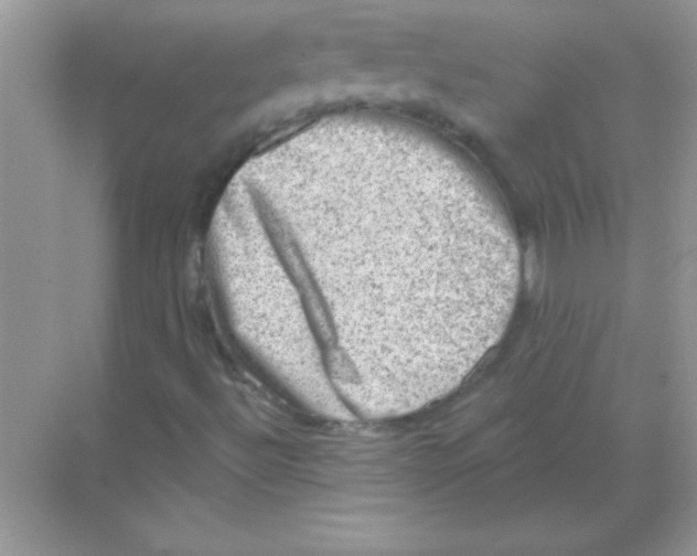 X0000068721492200605192239