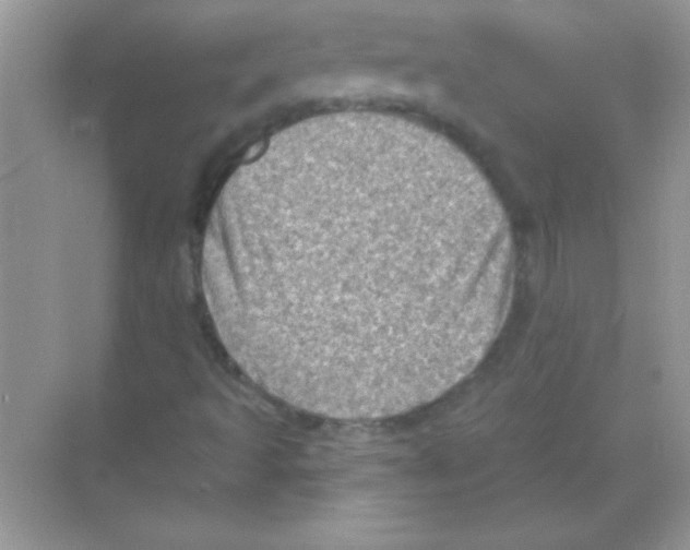 X0000068721493200605192239