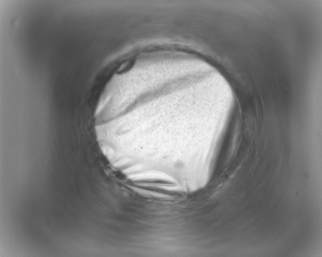 X0000068721494200605192239