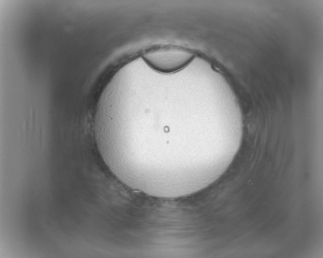 X0000068721495200605192239